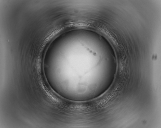 X0000101160533200806271012