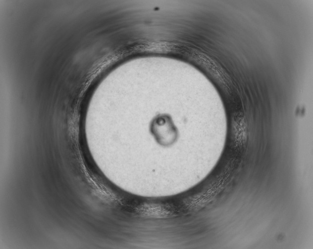 X0000101160534200806271012