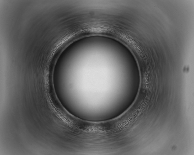 X0000101160535200806271012
