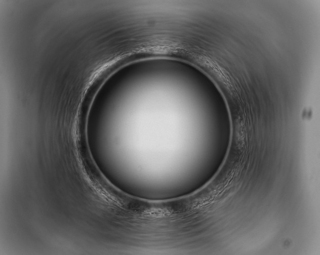 X0000101160536200806271012