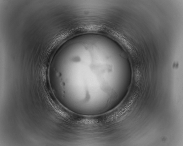 X0000101160537200806271012