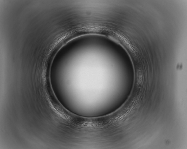 X0000101160538200806271012
