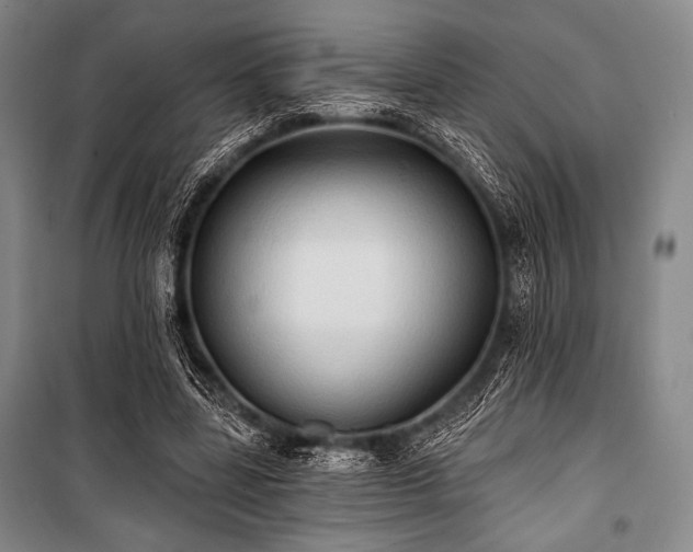 X0000101160539200806271012