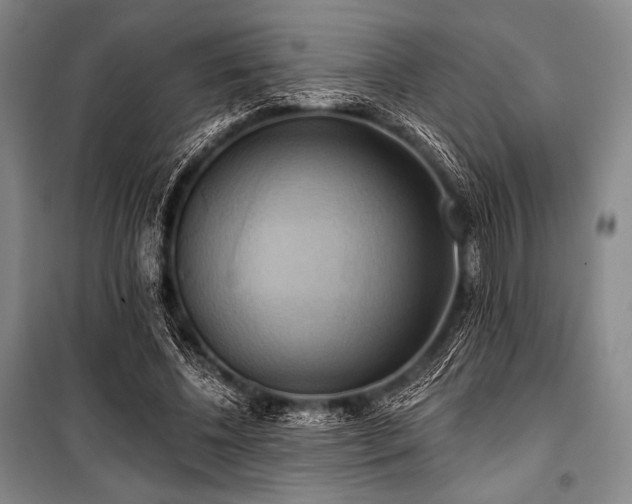 X0000101160540200806271012