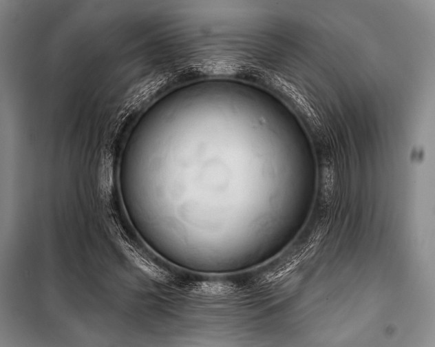 X0000101160541200806271012