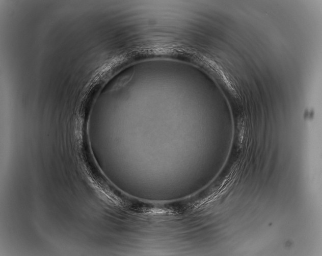 X0000101160542200806271012