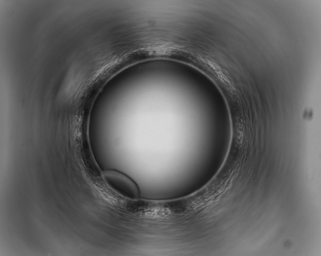 X0000101160543200806271012