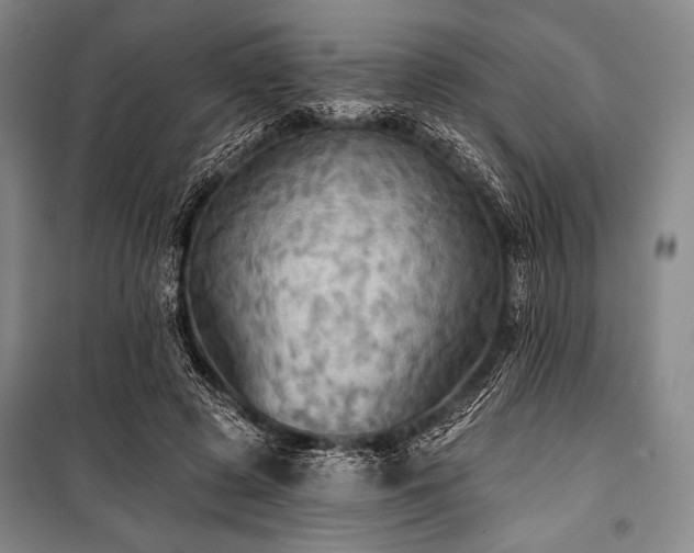 X0000101160545200806271012
