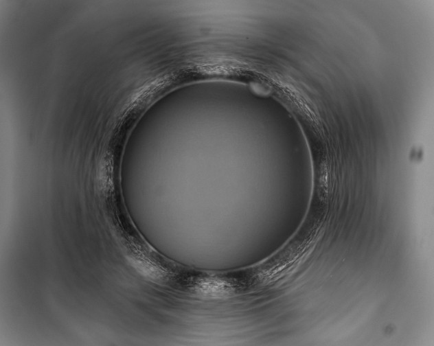 X0000101160547200806271012