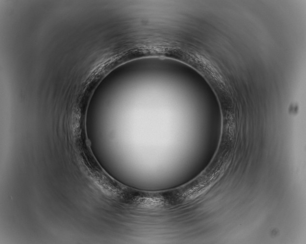 X0000101160548200806271012