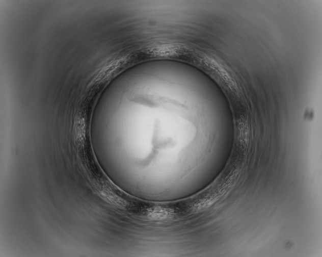 X0000101160549200806271012