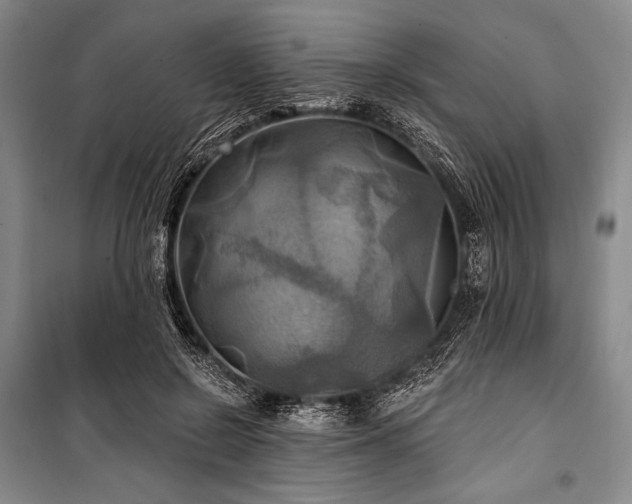 X0000101160550200806271012