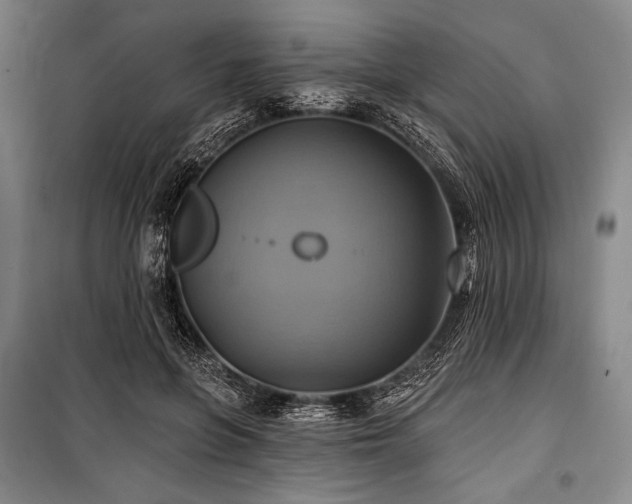 X0000101160551200806271012