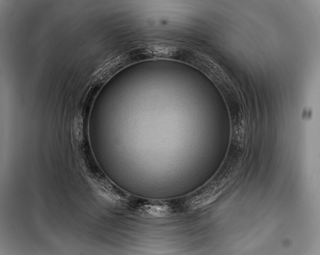 X0000101160552200806271012