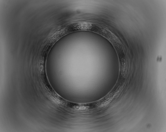 X0000101160553200806271012