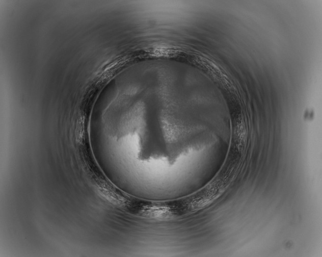 X0000101160554200806271012
