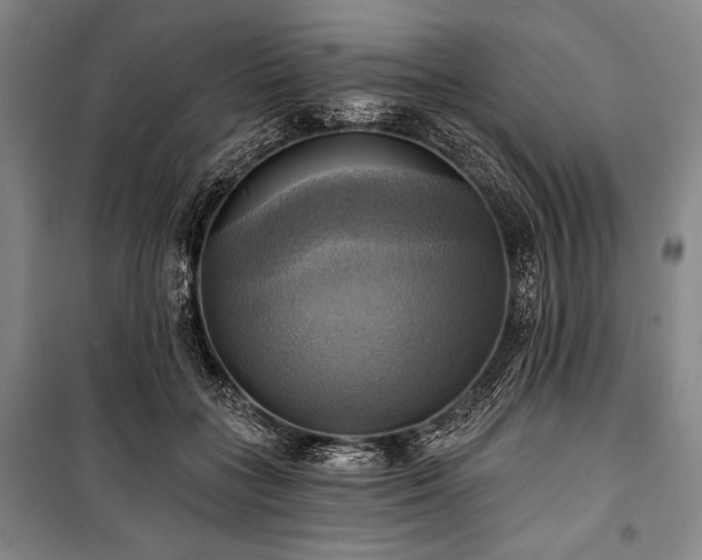 X0000101160555200806271012