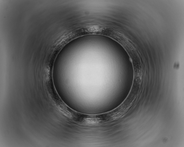 X0000101160556200806271012