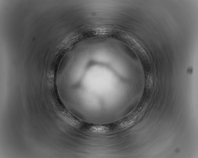 X0000101160557200806271012