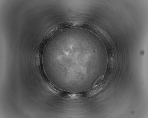 X0000101160558200806271012