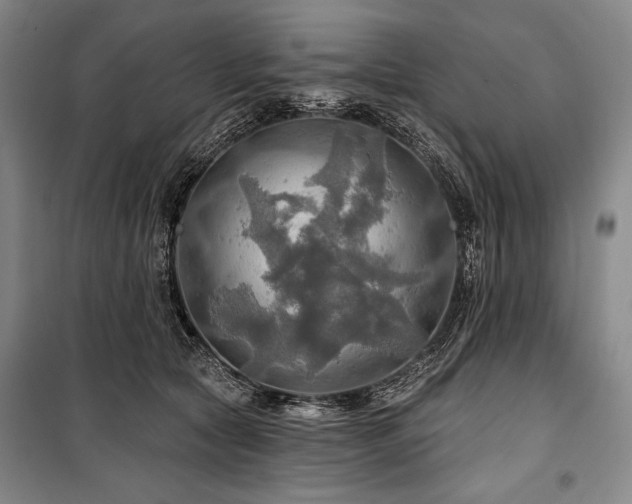 X0000101160561200806271012