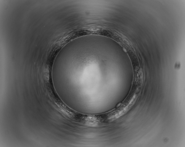 X0000101160562200806271012