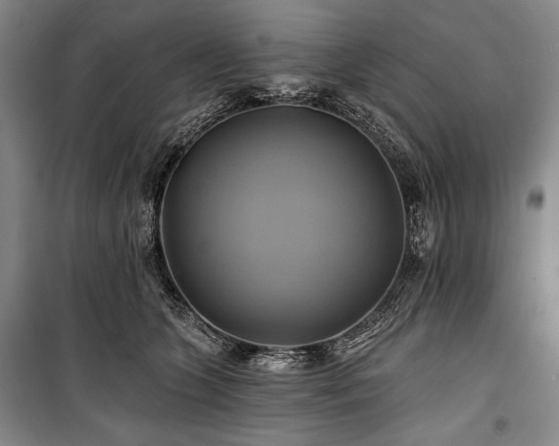 X0000101160563200806271012