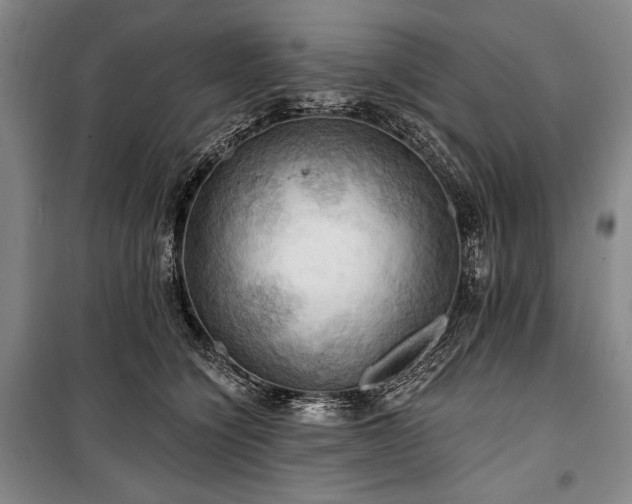 X0000101160564200806271012