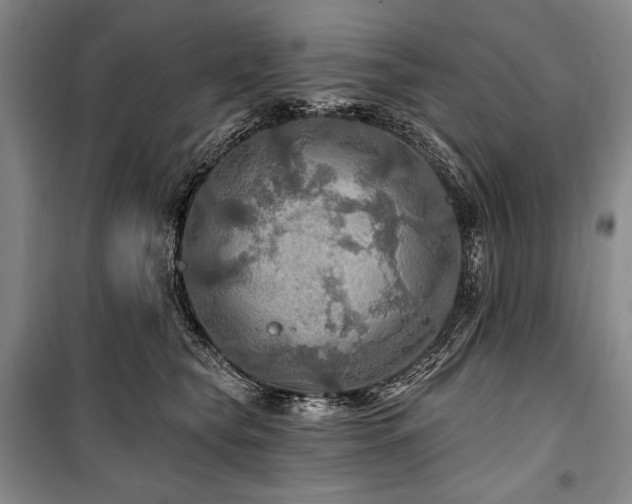 X0000101160565200806271012