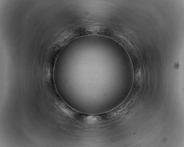 X0000101160566200806271012