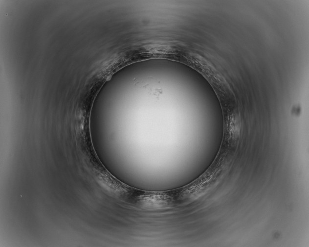 X0000101160567200806271012
