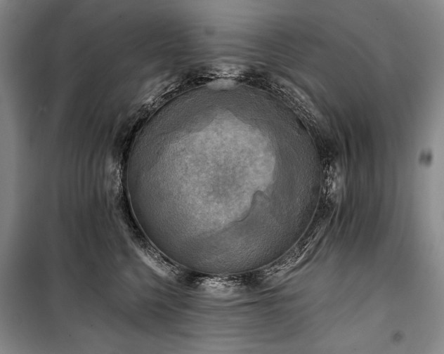 X0000101160568200806271012