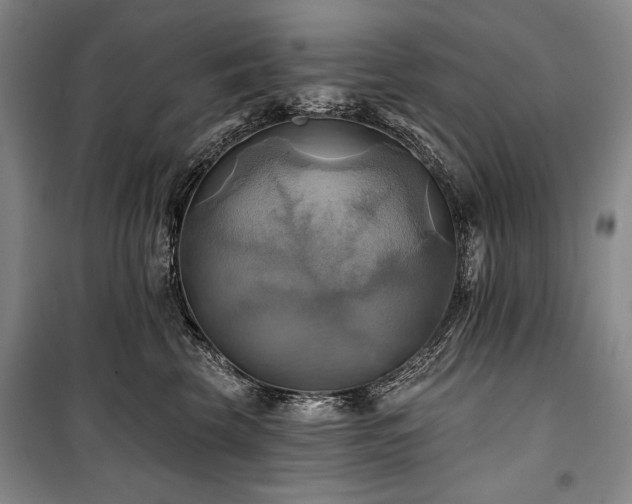 X0000101160569200806271012