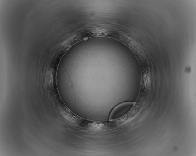X0000101160570200806271012