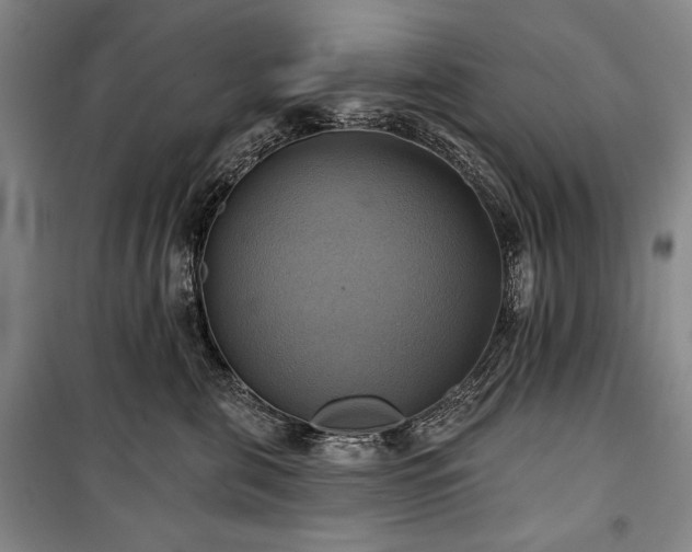 X0000101160571200806271012