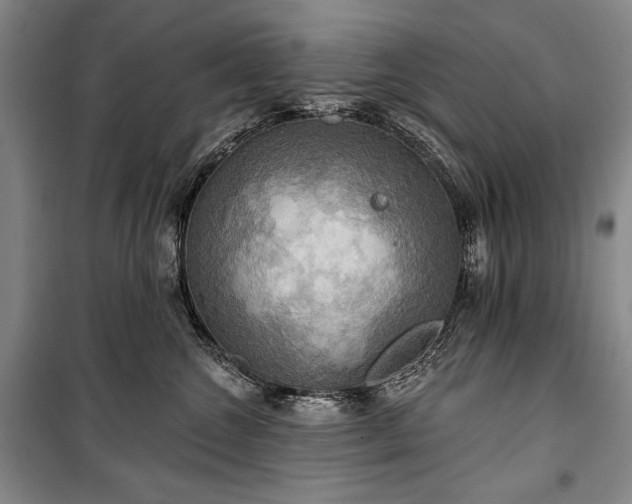 X0000101160572200806271012