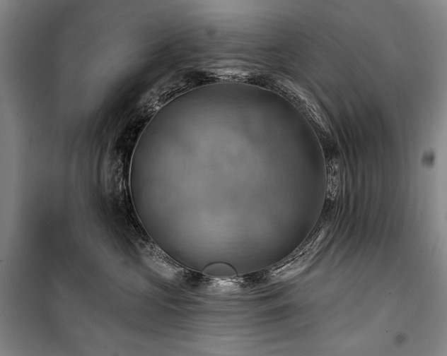 X0000101160573200806271012