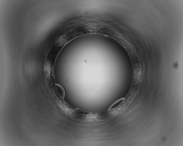 X0000101160574200806271012