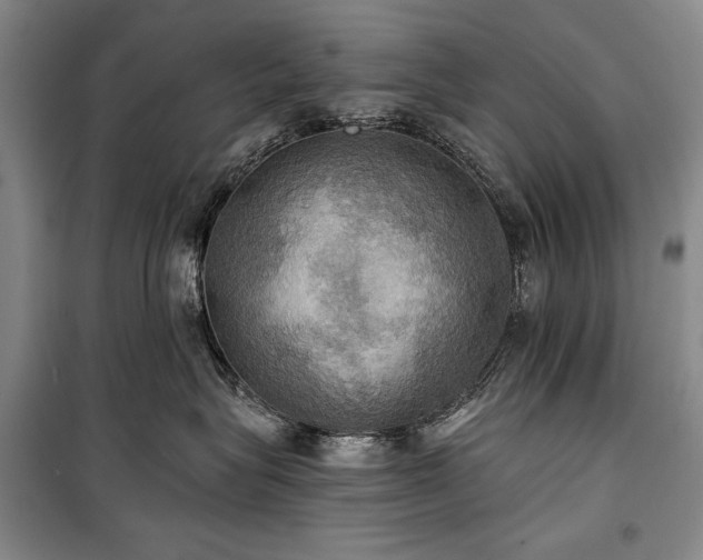 X0000101160575200806271012