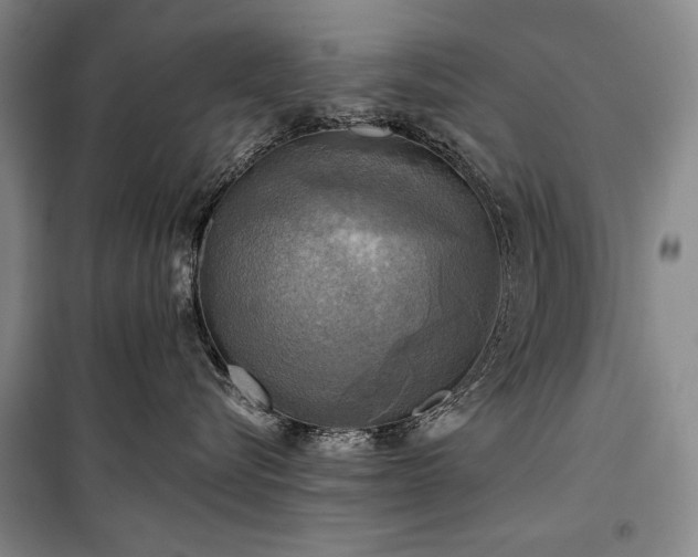 X0000101160576200806271012