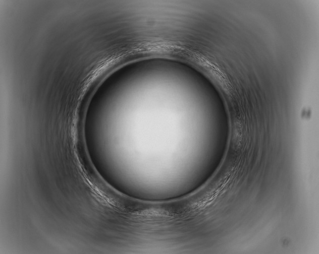 X0000101160578200806271011