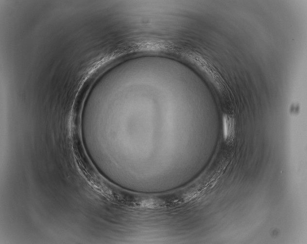 X0000101160579200806271011