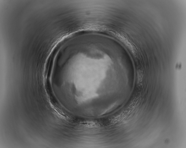 X0000101160580200806271011