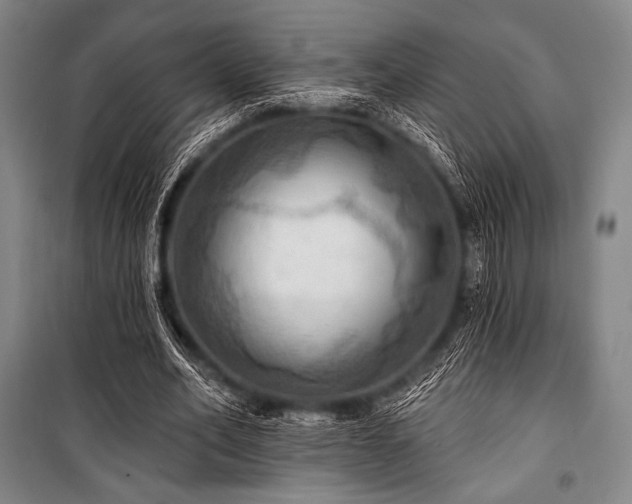 X0000101160582200806271011