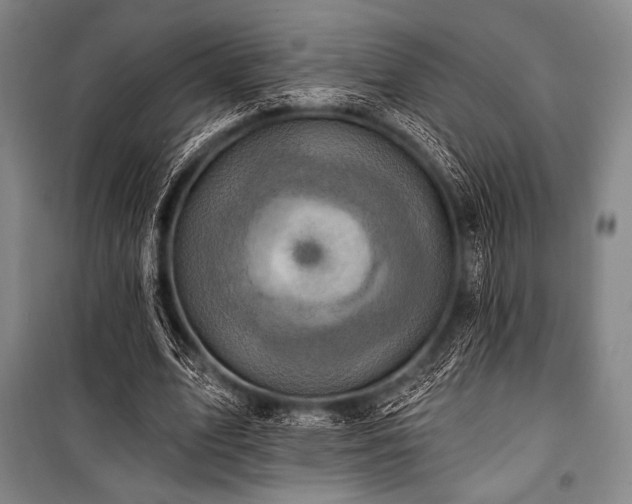 X0000101160583200806271011