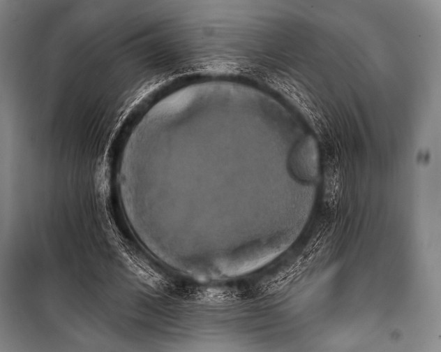 X0000101160584200806271011