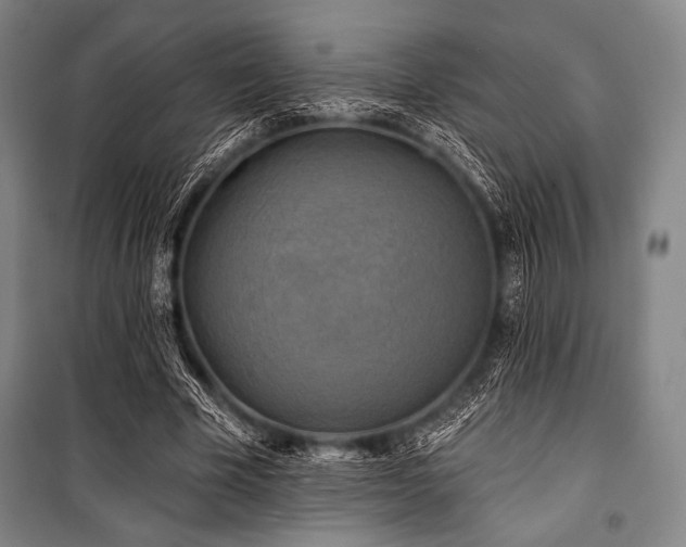 X0000101160585200806271011