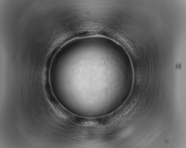 X0000101160586200806271011
