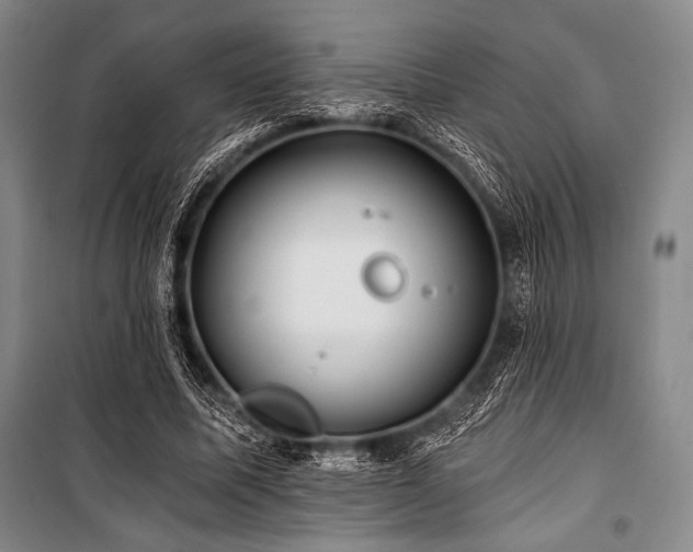 X0000101160587200806271011