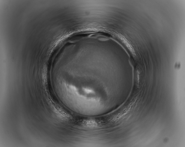 X0000101160588200806271011